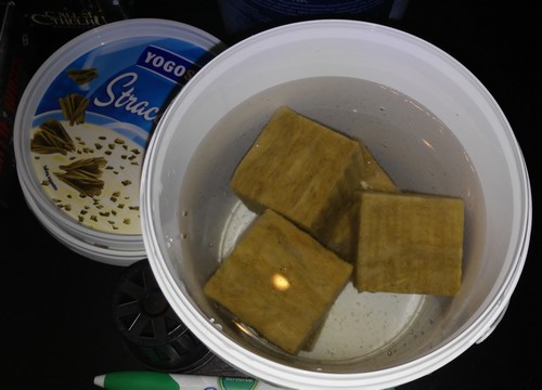 hydroponic tutorial kratky method DIY