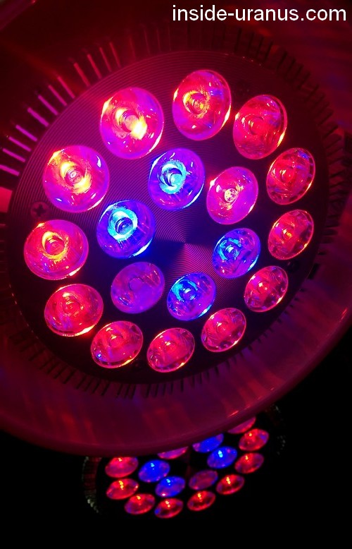 Hydroponie #4 : Lampes à LED pour croissance des plantes en hydroponie