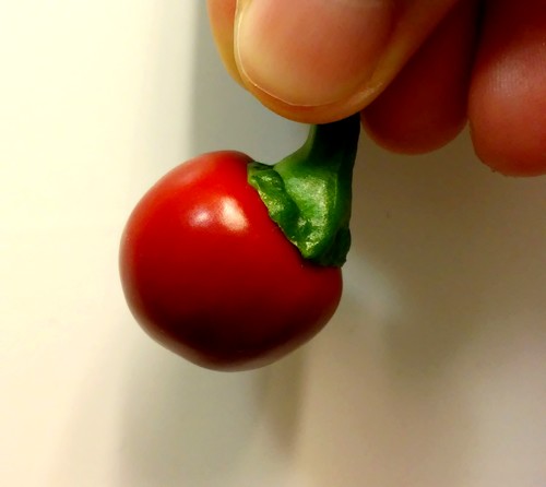 Piment & Hydroponie #2 : Capsicum annuum Ciliegia Picante (alias Satan's Kiss)